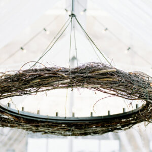 V DÉCor Chandelier Iron Birds Nest Treatment