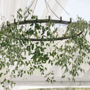 V DÉCor Chandelier Iron With Lighting