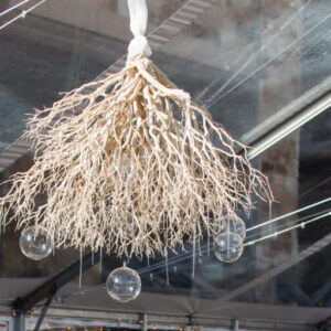 V DÉCor Chandelier Manzanita