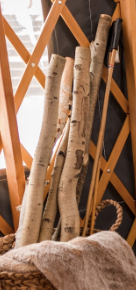 V Decor Props Aspen Logs Short & Small