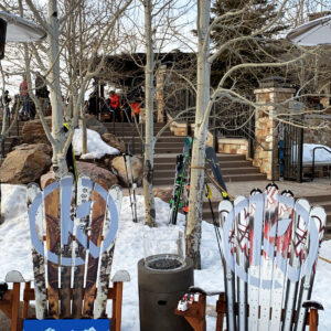 V Chair Adirondack Skis