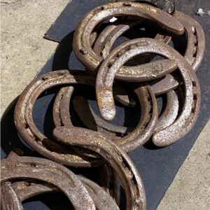 V F&B Table Number Horsehoe Holder